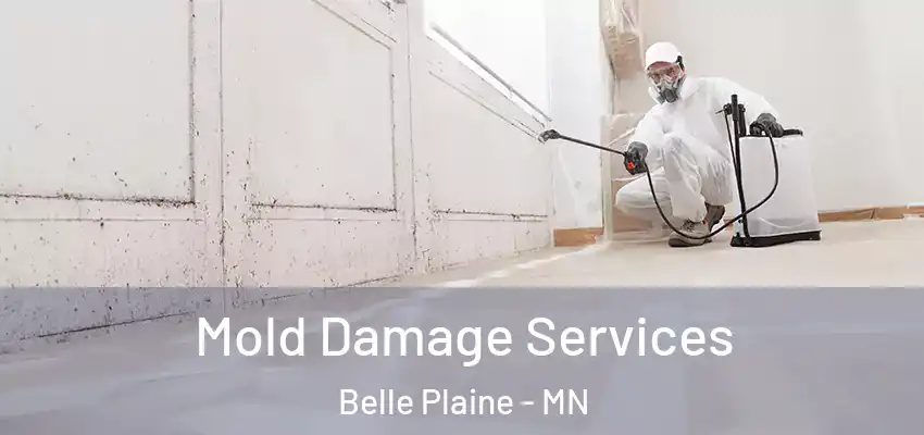  Mold Damage Services Belle Plaine - MN