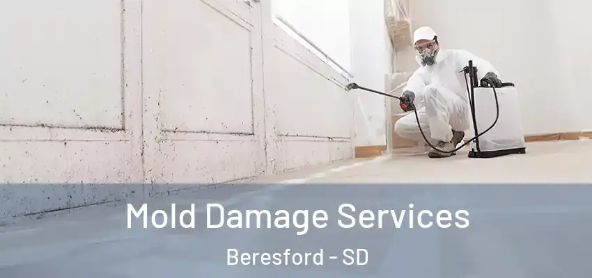  Mold Damage Services Beresford - SD