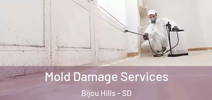  Mold Damage Services Bijou Hills - SD