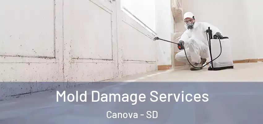  Mold Damage Services Canova - SD