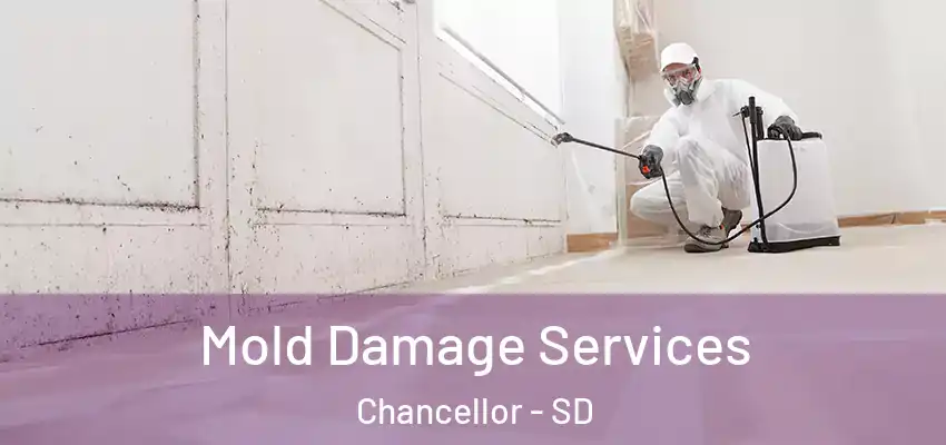  Mold Damage Services Chancellor - SD
