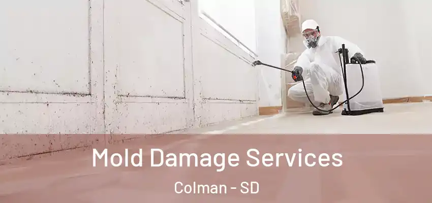 Mold Damage Services Colman - SD