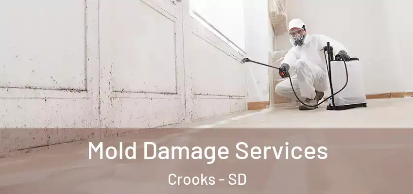 Mold Damage Services Crooks - SD