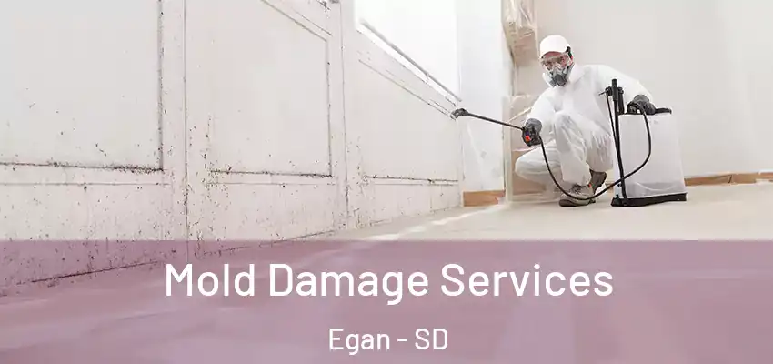 Mold Damage Services Egan - SD