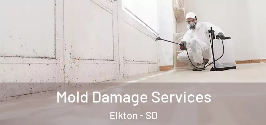  Mold Damage Services Elkton - SD