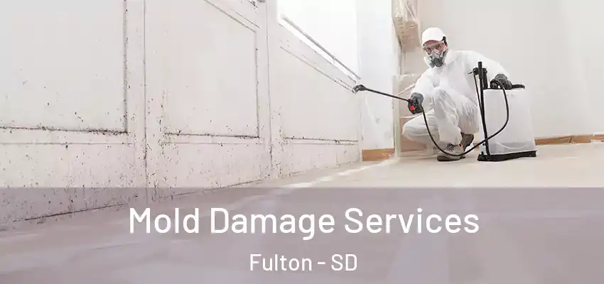  Mold Damage Services Fulton - SD