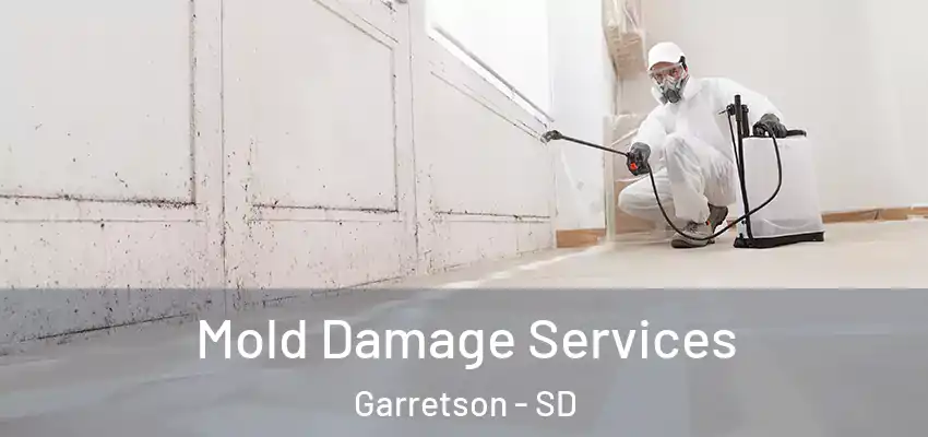  Mold Damage Services Garretson - SD