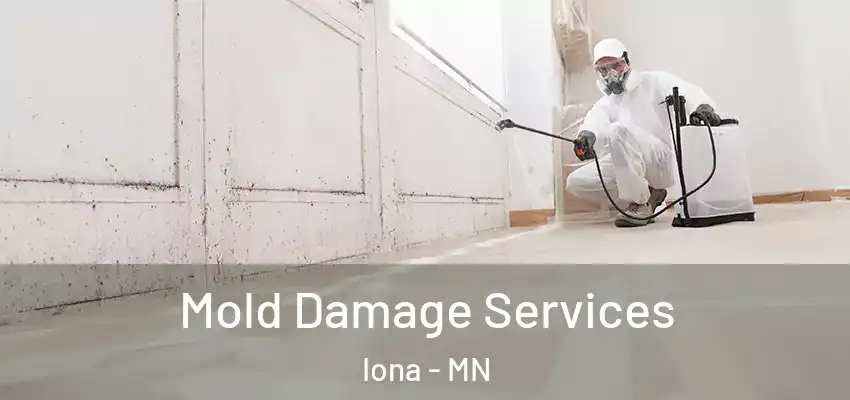 Mold Damage Services Iona - MN