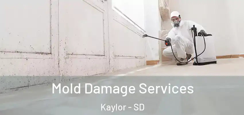 Mold Damage Services Kaylor - SD
