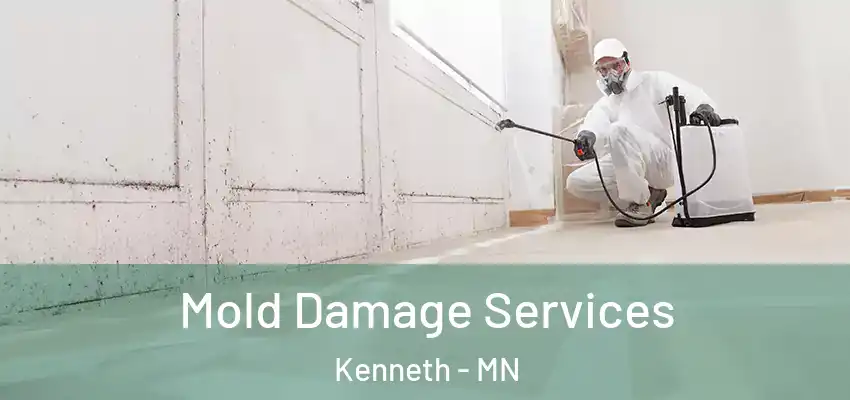 Mold Damage Services Kenneth - MN