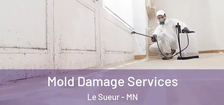  Mold Damage Services Le Sueur - MN