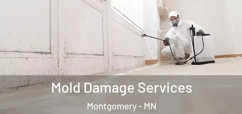  Mold Damage Services Montgomery - MN