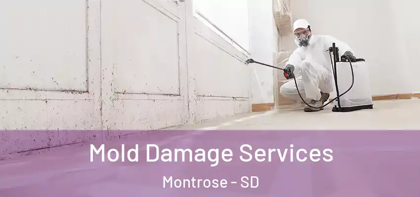 Mold Damage Services Montrose - SD