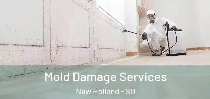  Mold Damage Services New Holland - SD