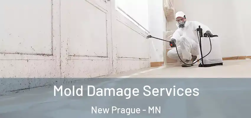 Mold Damage Services New Prague - MN