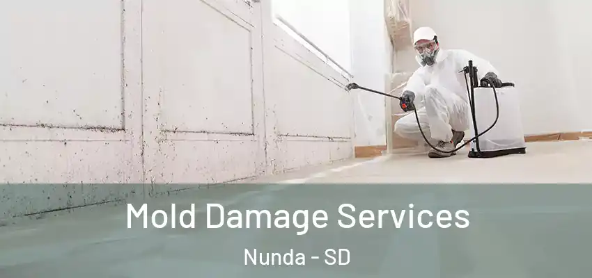  Mold Damage Services Nunda - SD