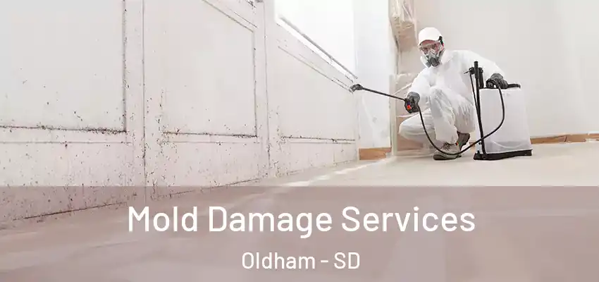  Mold Damage Services Oldham - SD
