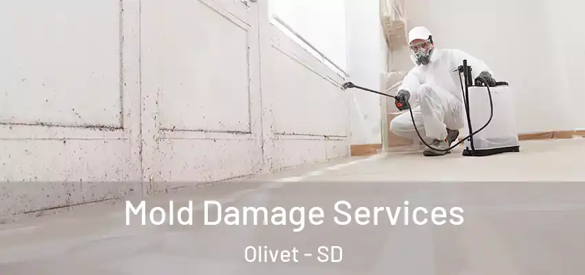 Mold Damage Services Olivet - SD