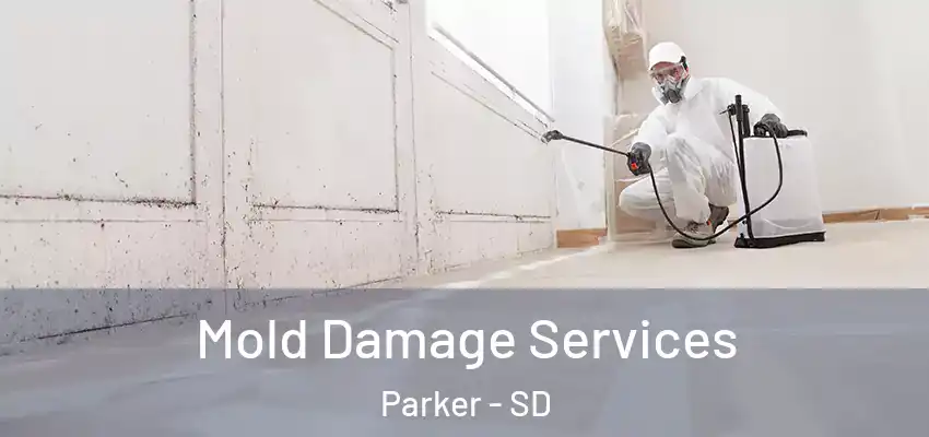  Mold Damage Services Parker - SD