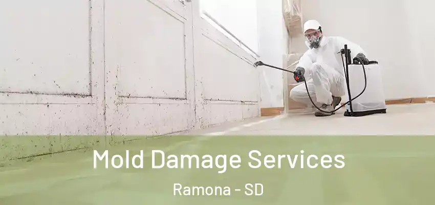  Mold Damage Services Ramona - SD
