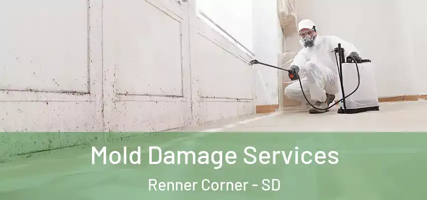  Mold Damage Services Renner Corner - SD