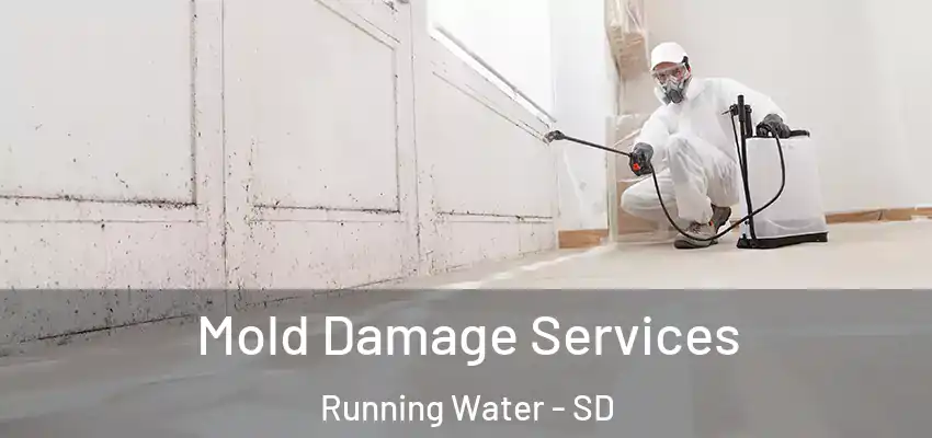 Mold Damage Services Running Water - SD