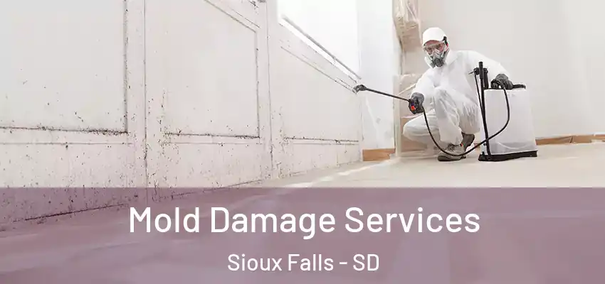 Mold Damage Services Sioux Falls - SD