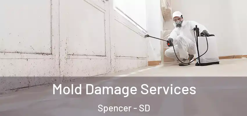  Mold Damage Services Spencer - SD