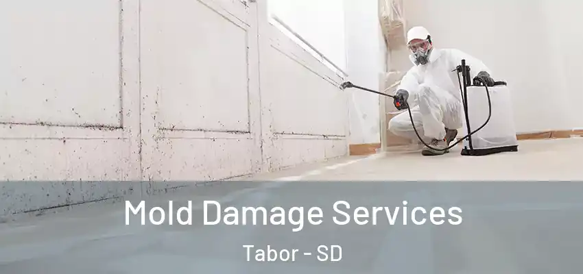  Mold Damage Services Tabor - SD