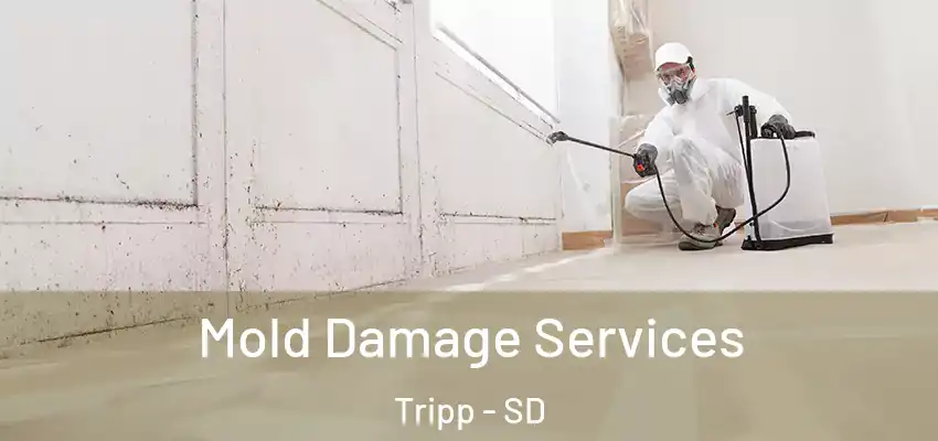Mold Damage Services Tripp - SD