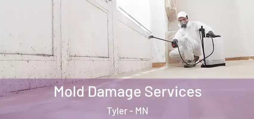 Mold Damage Services Tyler - MN