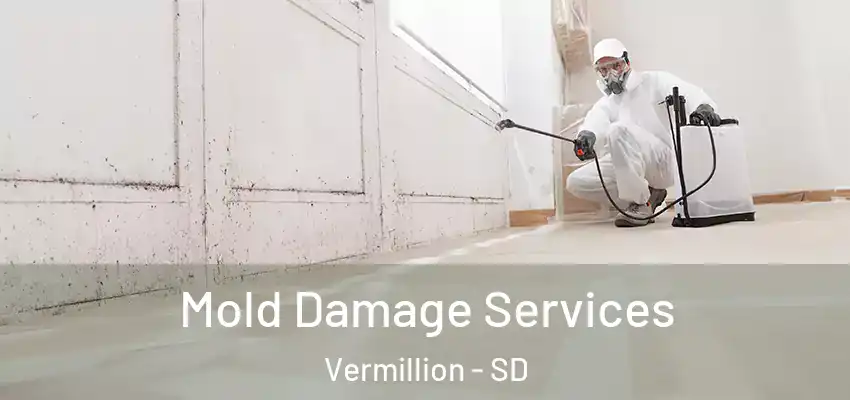 Mold Damage Services Vermillion - SD