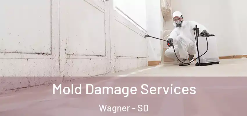 Mold Damage Services Wagner - SD