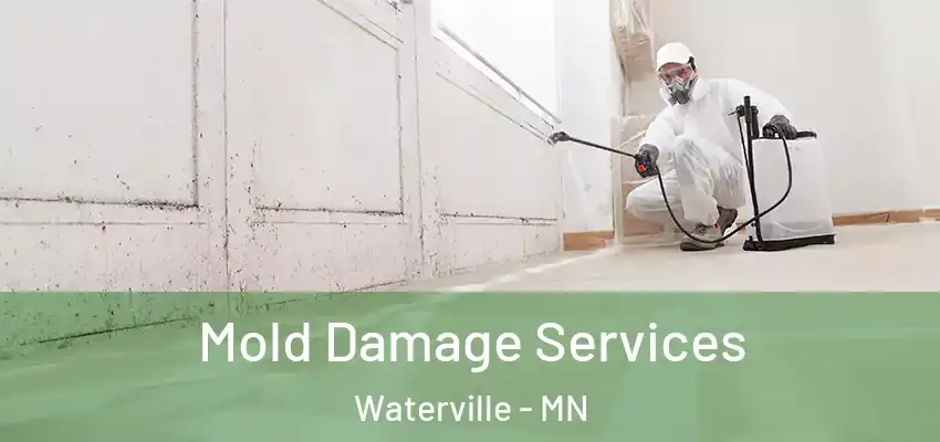  Mold Damage Services Waterville - MN
