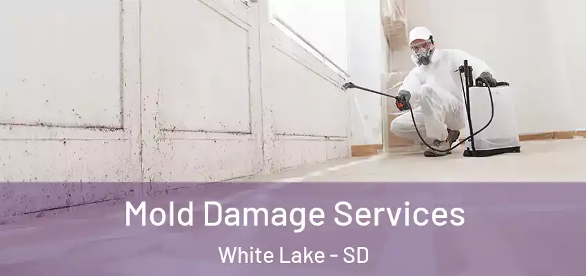  Mold Damage Services White Lake - SD