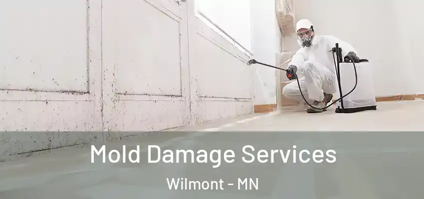  Mold Damage Services Wilmont - MN