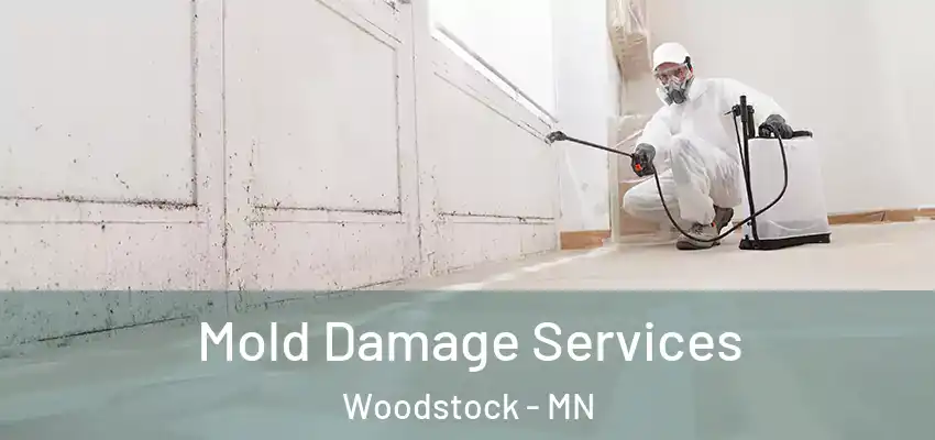  Mold Damage Services Woodstock - MN