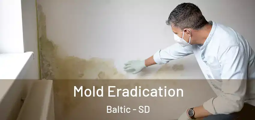  Mold Eradication Baltic - SD
