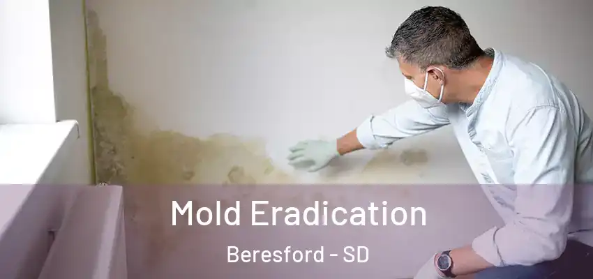  Mold Eradication Beresford - SD