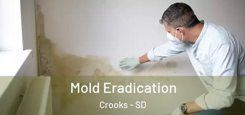 Mold Eradication Crooks - SD