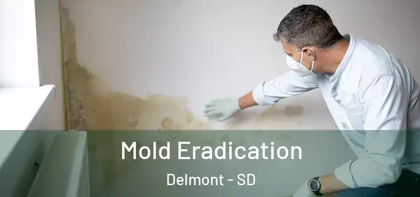  Mold Eradication Delmont - SD