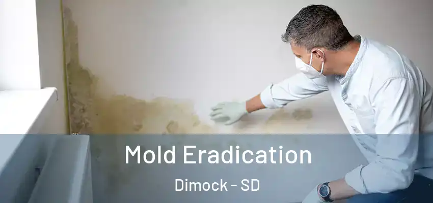  Mold Eradication Dimock - SD