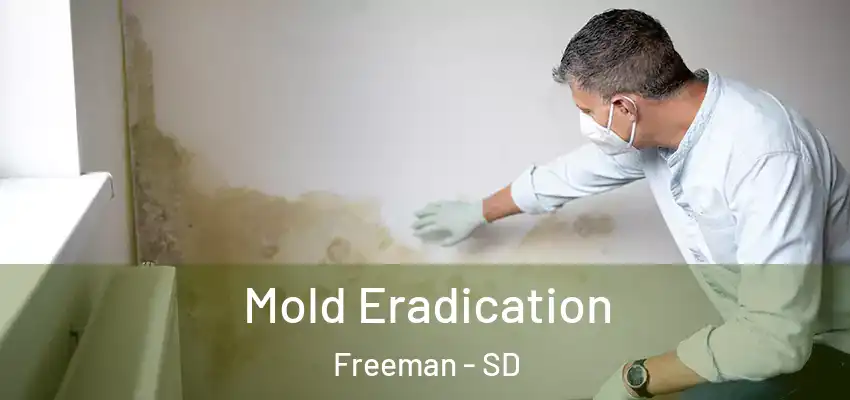  Mold Eradication Freeman - SD