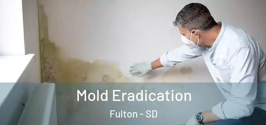  Mold Eradication Fulton - SD