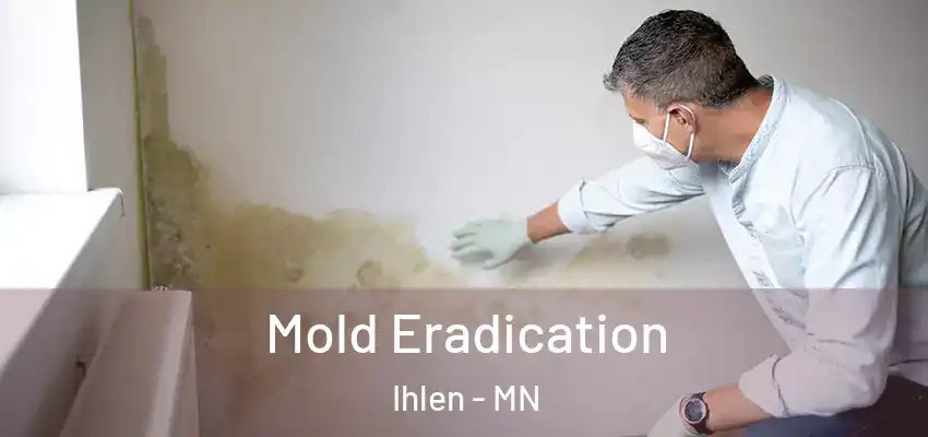 Mold Eradication Ihlen - MN