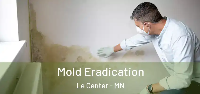  Mold Eradication Le Center - MN