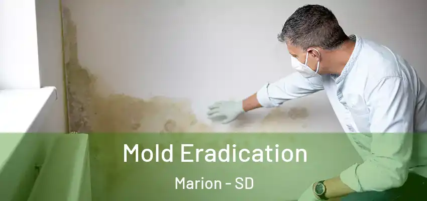  Mold Eradication Marion - SD