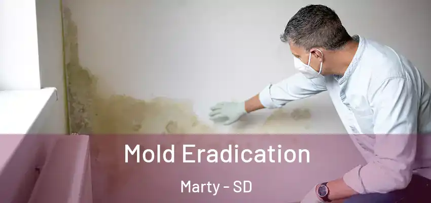 Mold Eradication Marty - SD