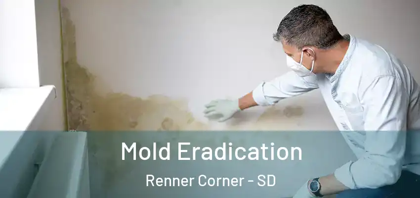  Mold Eradication Renner Corner - SD