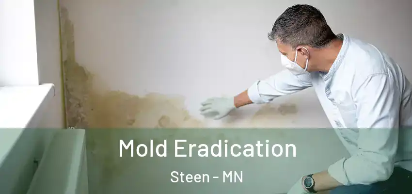 Mold Eradication Steen - MN